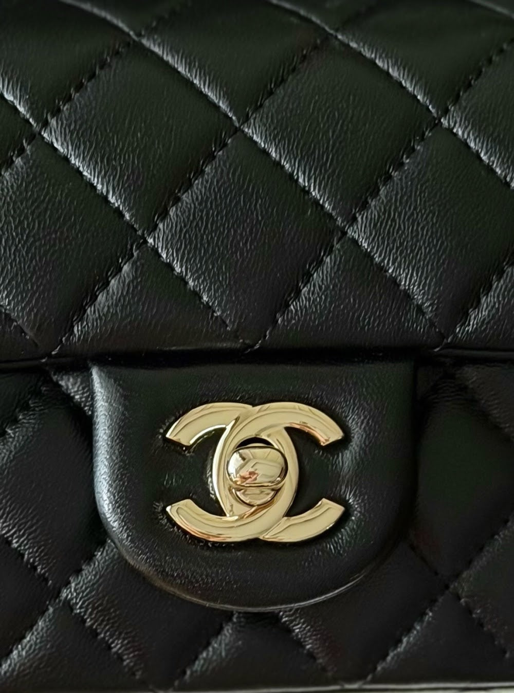 Dragons BagsCHn Luxury Bag --114063