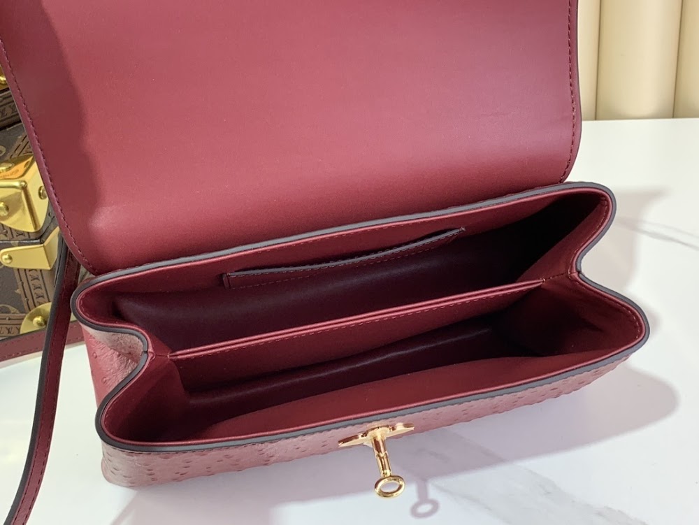 Dragons Bags ln Luxury Bag --69565