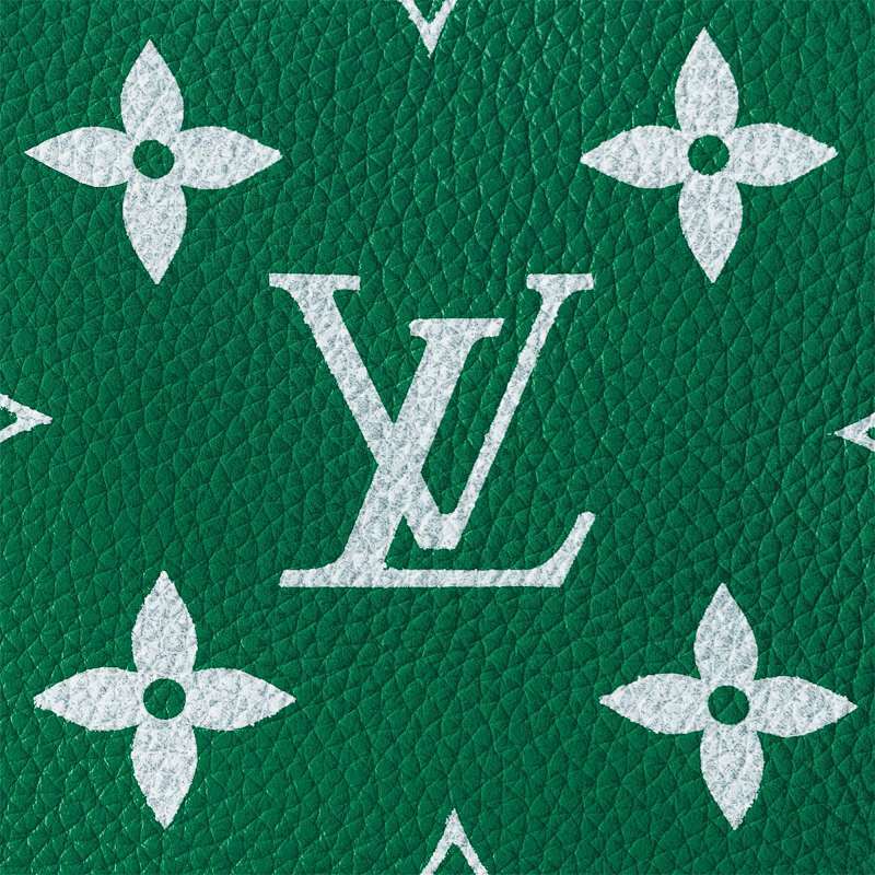 Dragons Bags ln Luxury Bag --68872