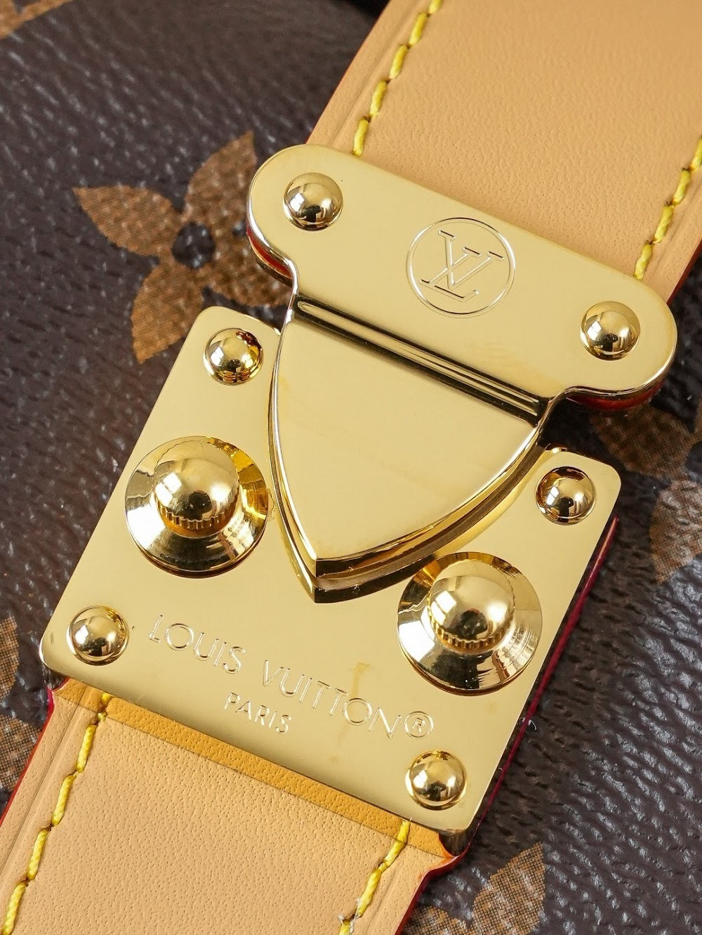 Dragons Bags ln Luxury Bag --81870