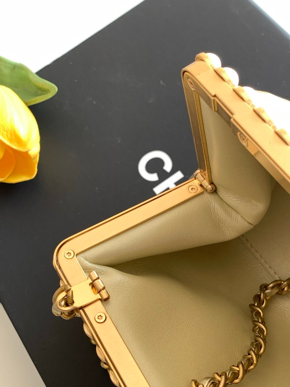 Dragons BagsCHn Luxury Bag --113898