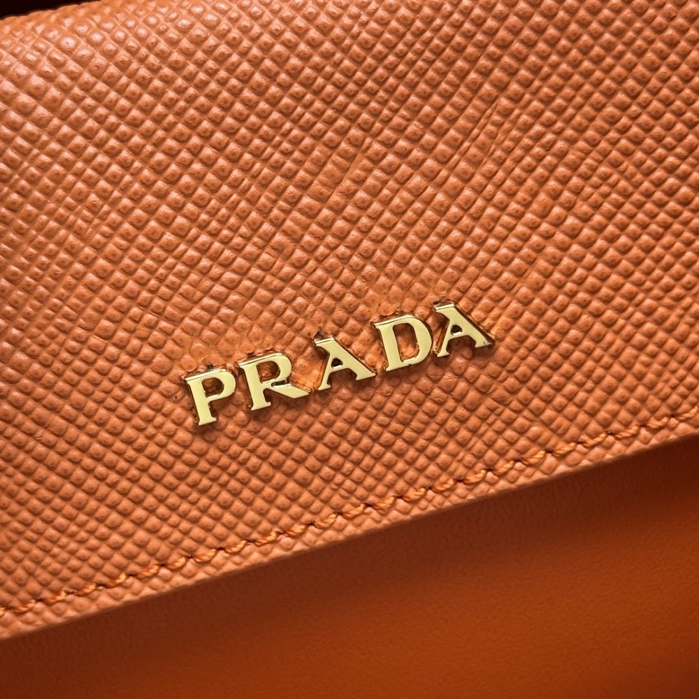 Dragons Bags Pradn Luxury Bag --102319