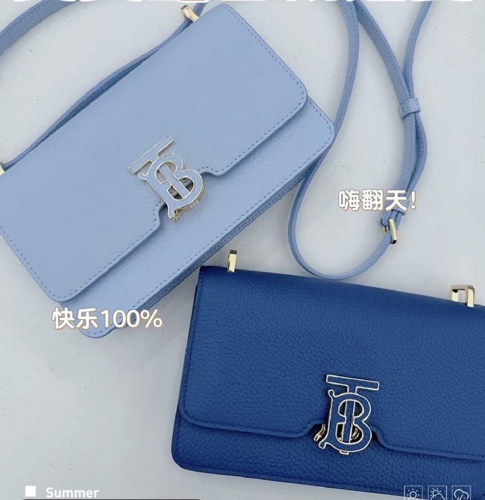 Dragons Bags Burberryn Luxury Bag --91603