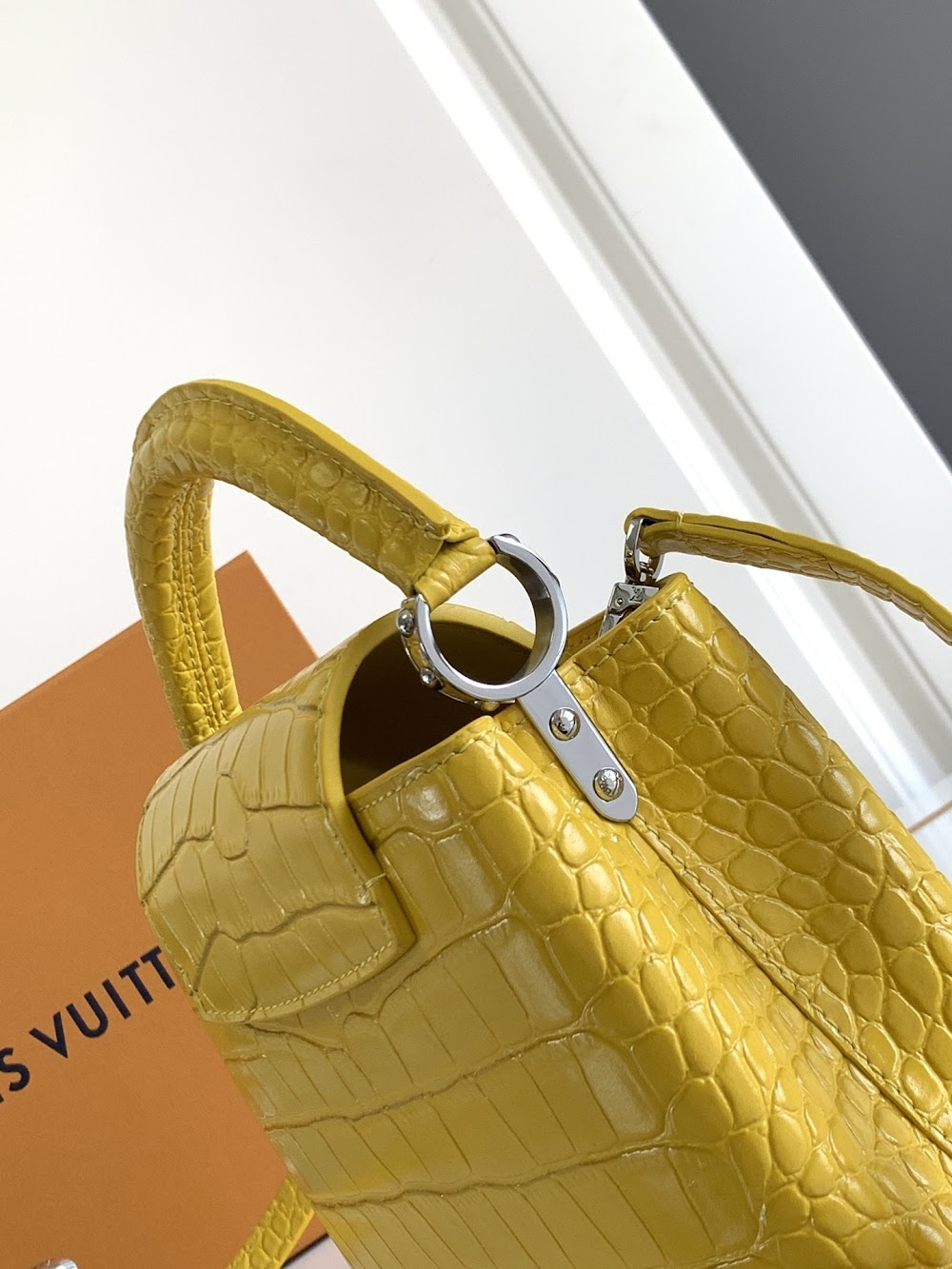 Dragons Bags ln Luxury Bag --96931
