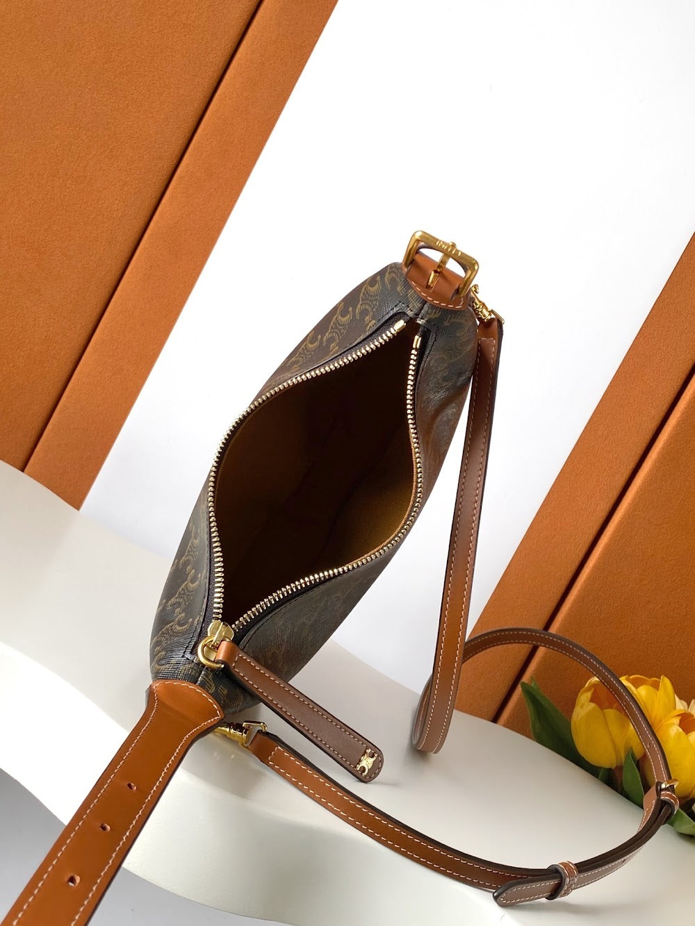 Dragons Bags Celine Luxury Bag --112074