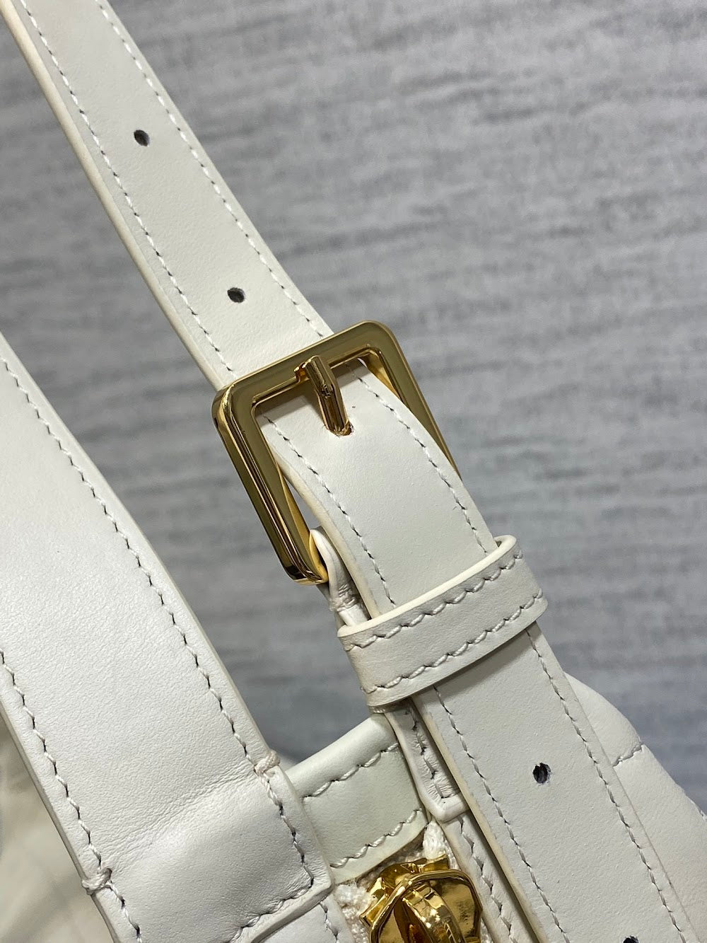 Dragons BagsDiorn Luxury Bag --116140
