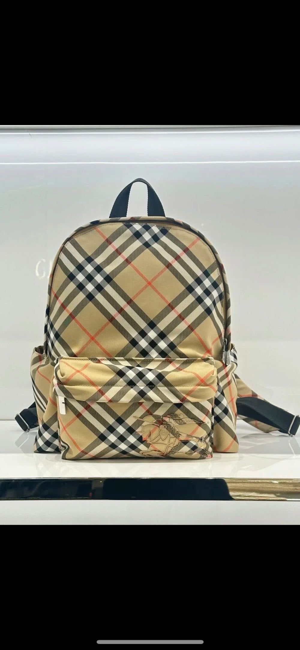 Dragons Bags Burberryn Luxury Bag --93129