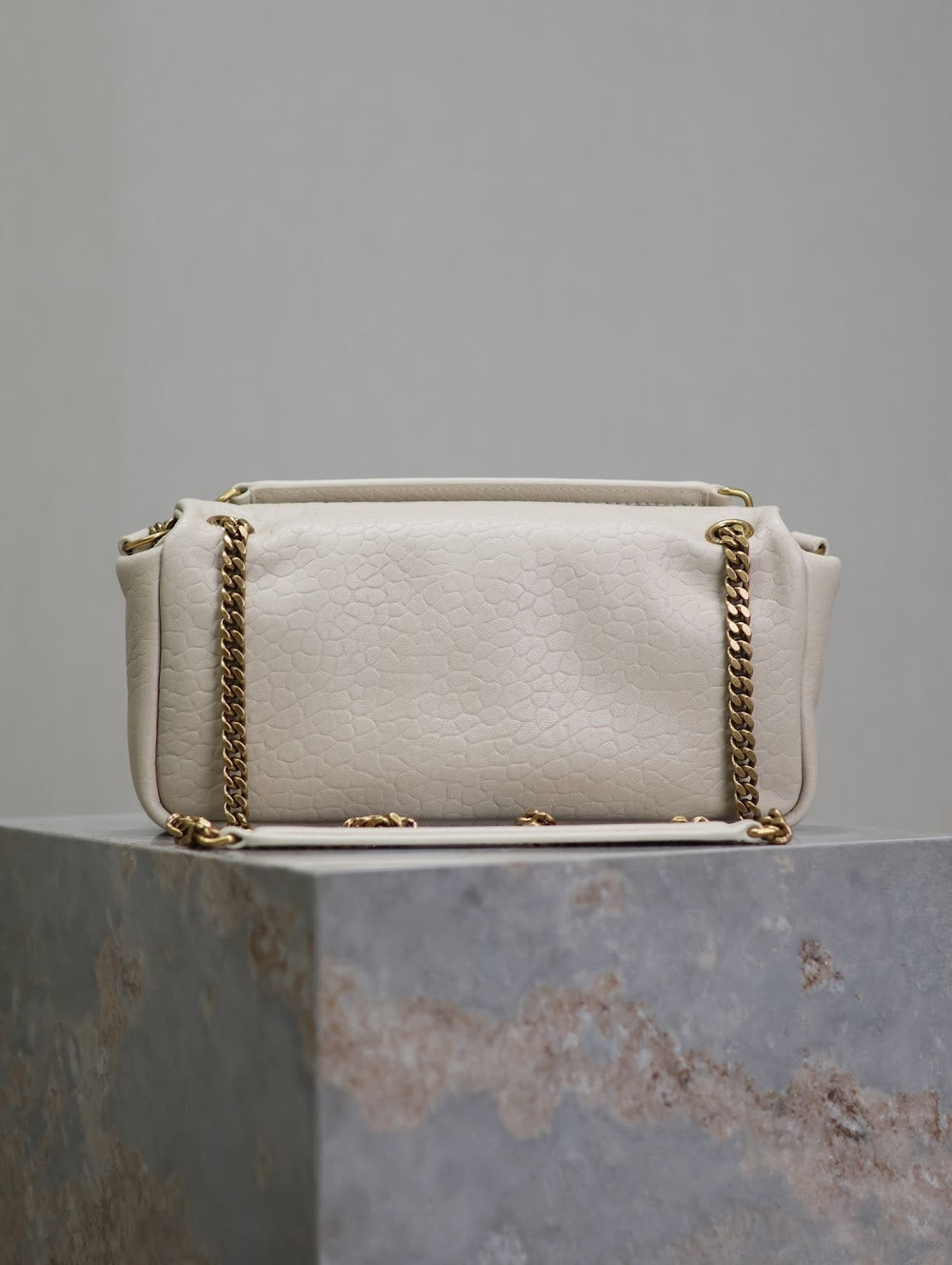 Dragons Bags YSLn Luxury Bag --119378
