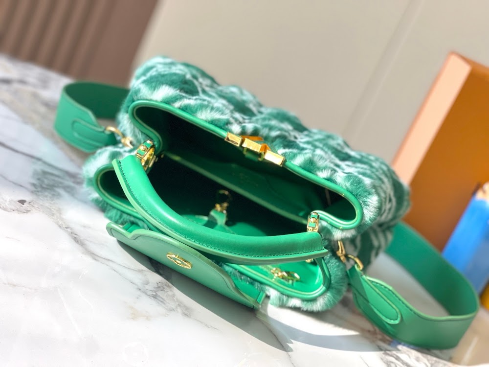 Dragons Bags LVn Luxury Bag --78850