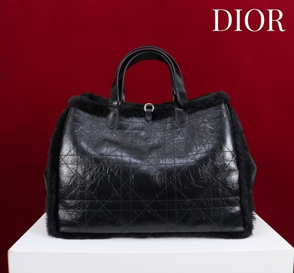 Dragons BagsDiorn Luxury Bag --116118