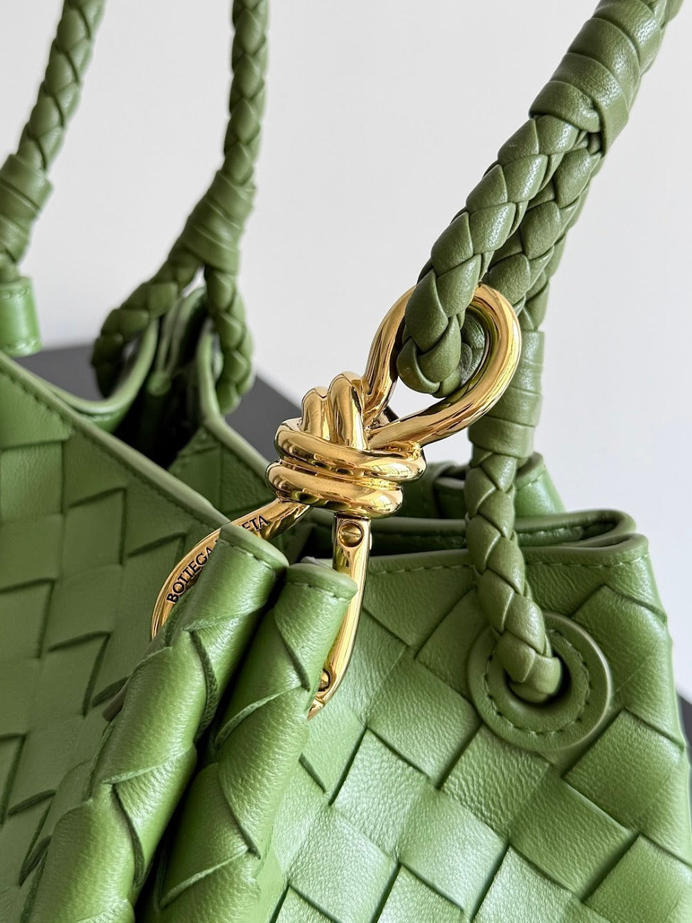 Dragons Bags Bottegan Luxury Bag --91105