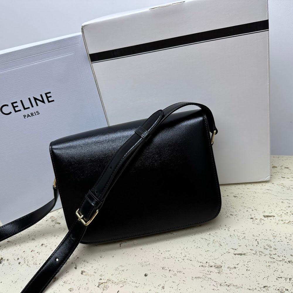 Dragons Bags Celine Luxury Bag --112463
