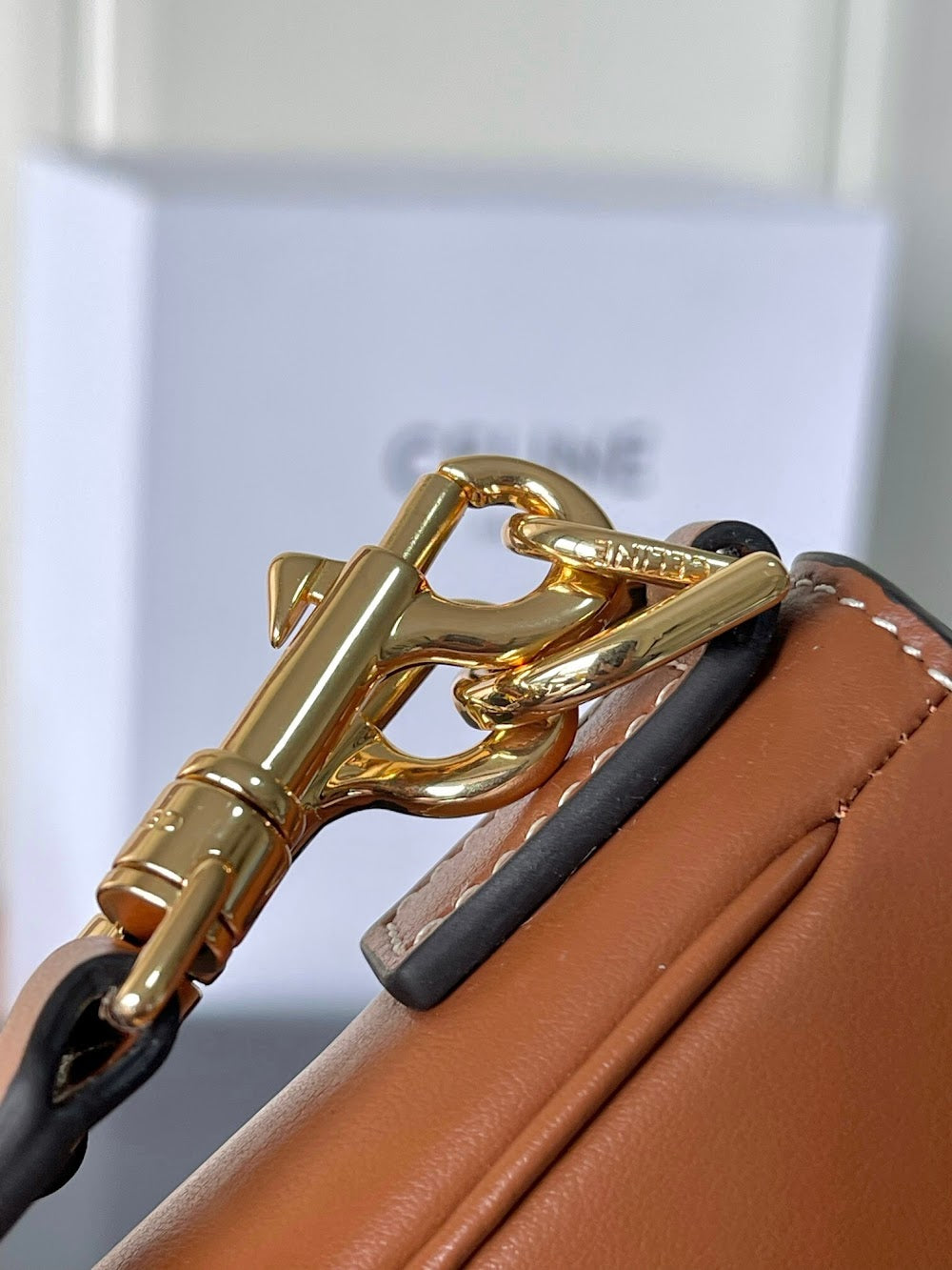 Dragons Bags Celine Luxury Bag --112304