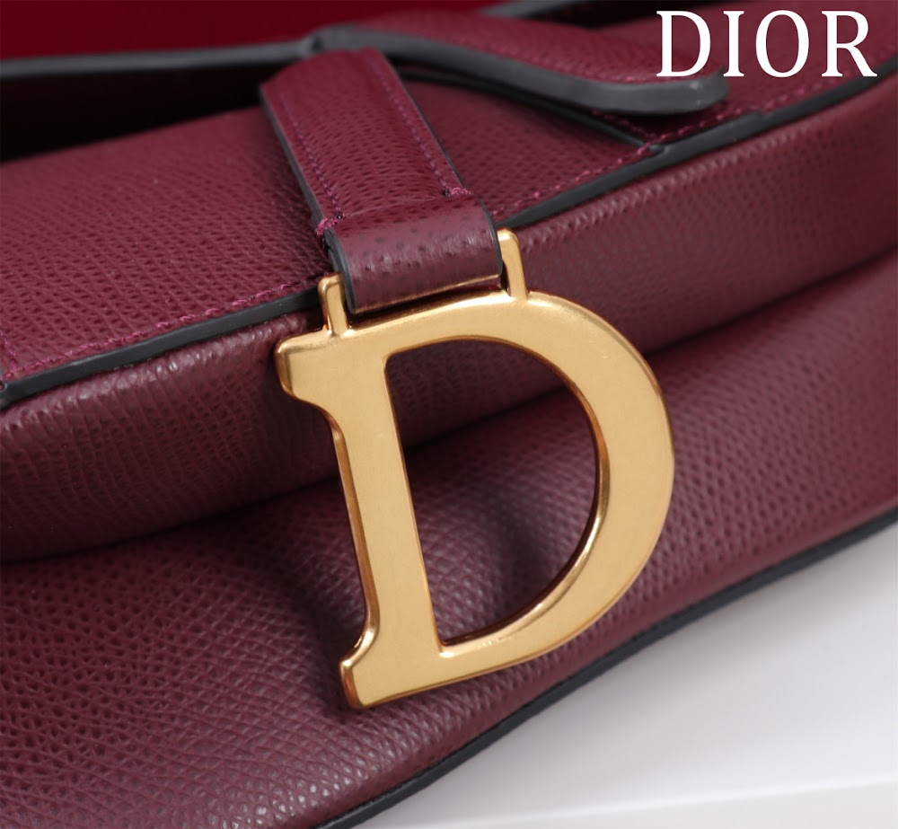 Dragons BagsDiorn Luxury Bag --116496