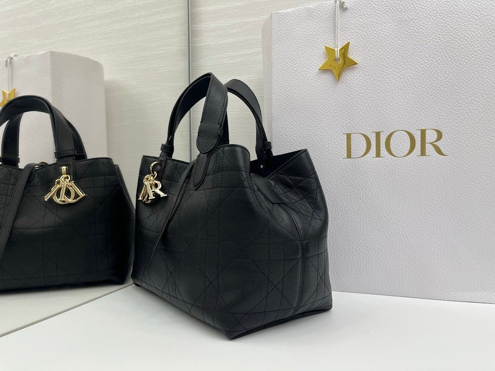 Dragons BagsDiorn Luxury Bag --115389