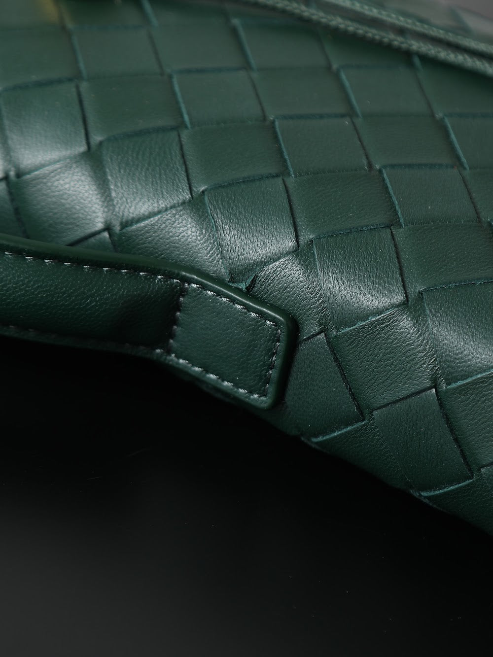 Dragons Bags Bottegan Luxury Bag --91388