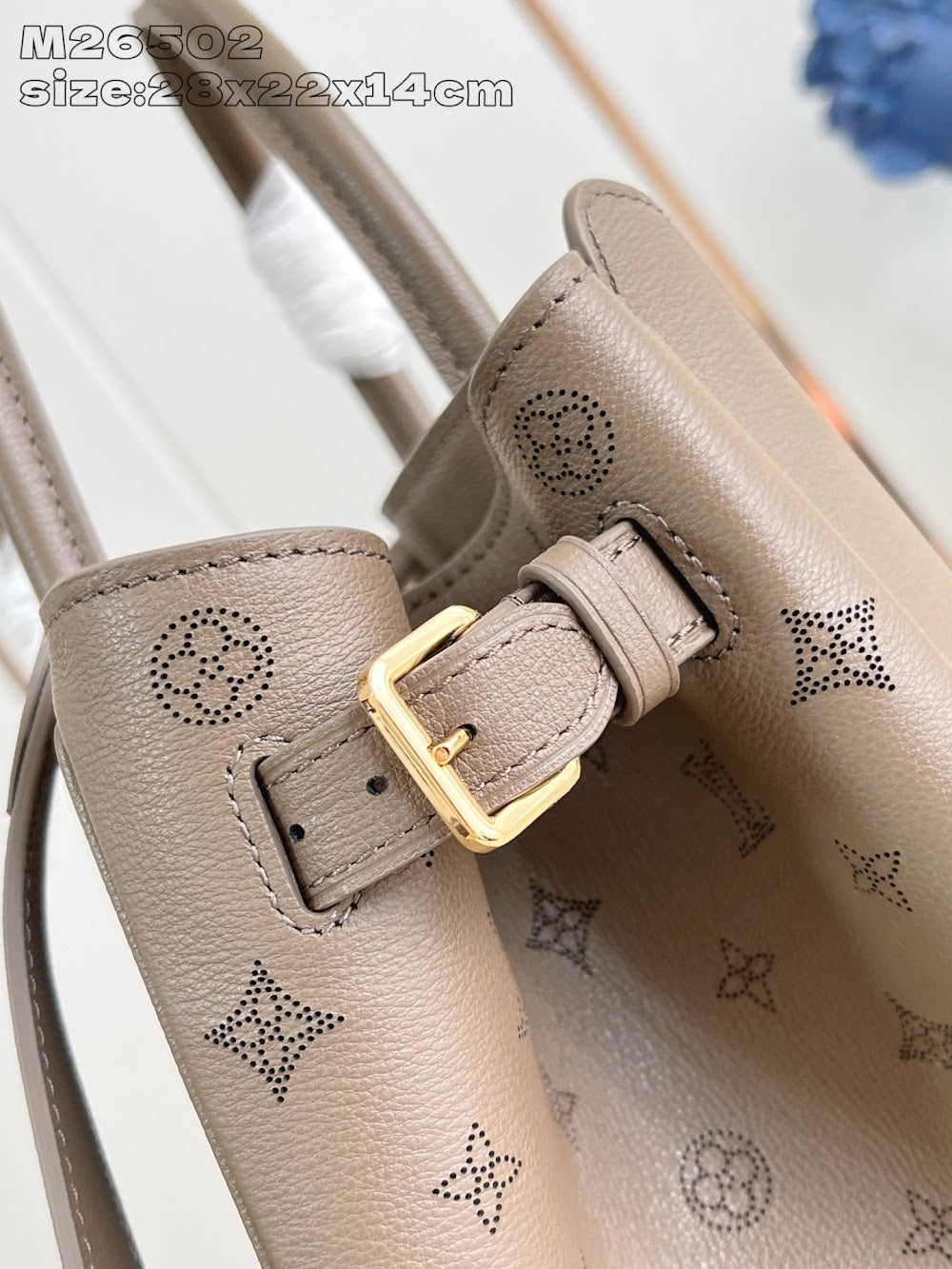 Dragons Bags ln Luxury Bag --95673