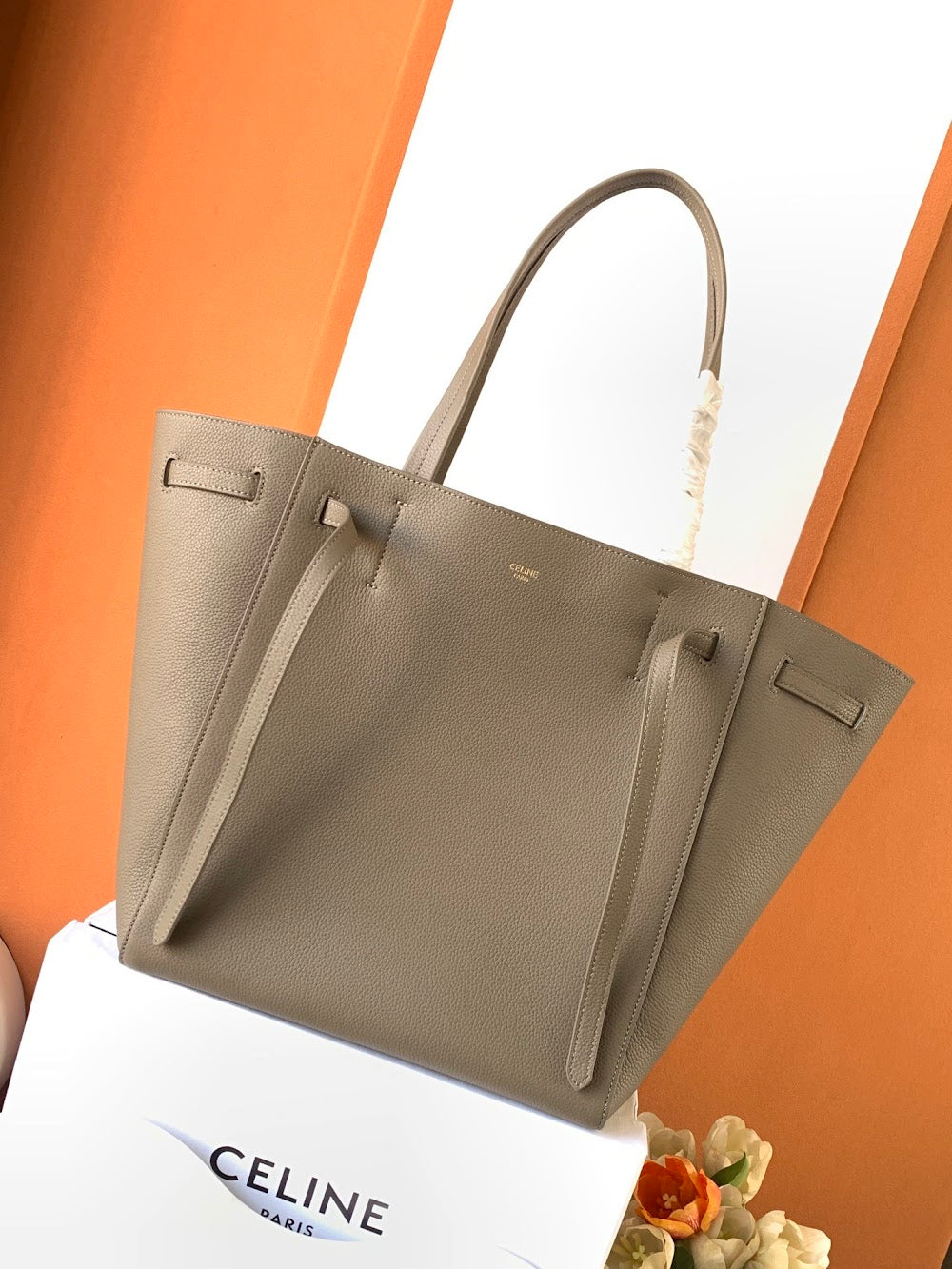 Dragons Bags Celine Luxury Bag --112110