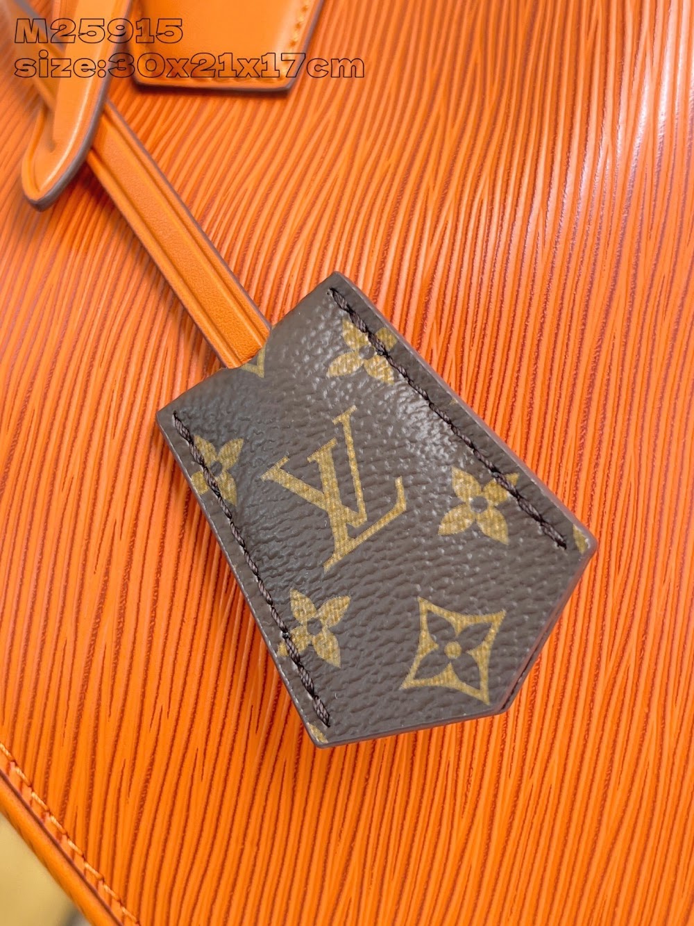 Dragons Bags ln Luxury Bag --95736