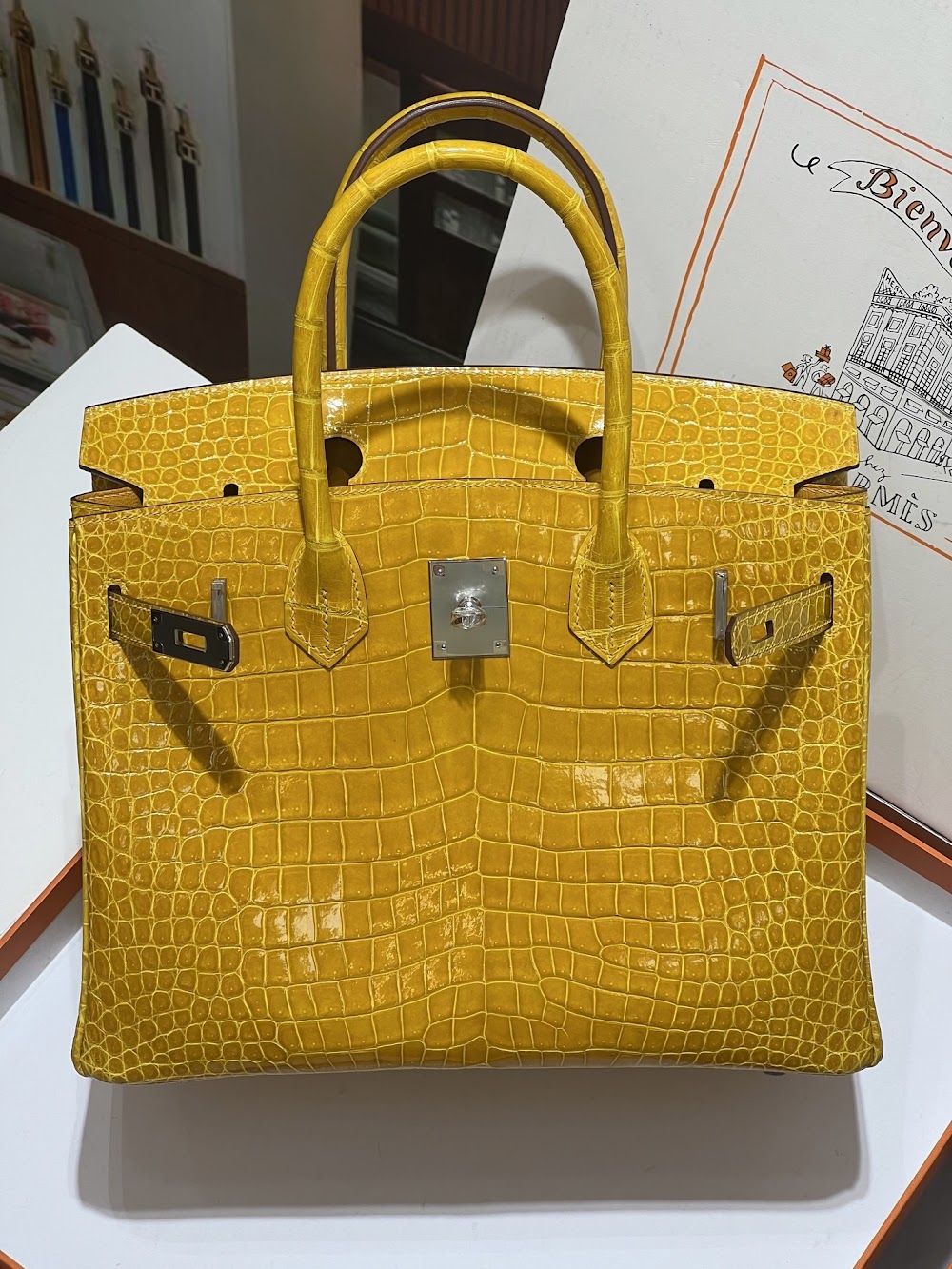 Dragons BagsHermesn Luxury Bag --117173