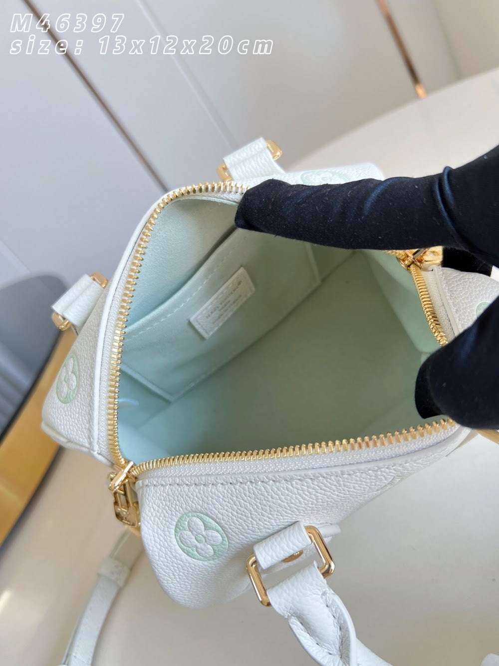 Dragons Bags ln Luxury Bag --96113
