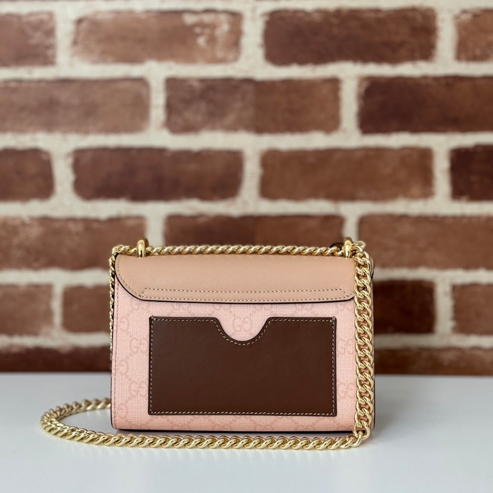 Dragons Bags Guccin Luxury Bag --95272