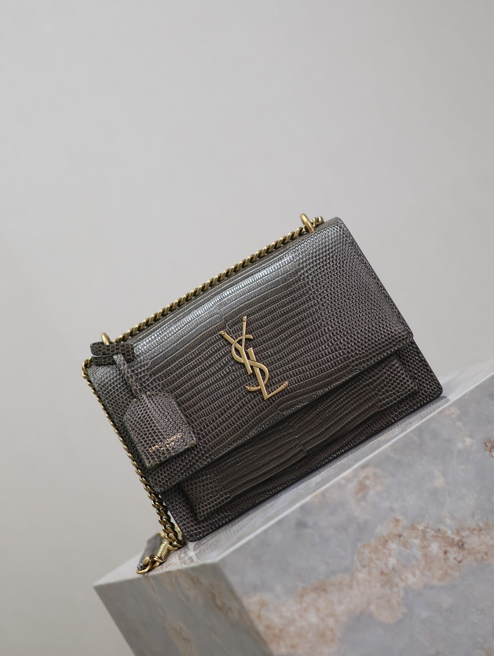 Dragons Bags YSLn Luxury Bag --119544