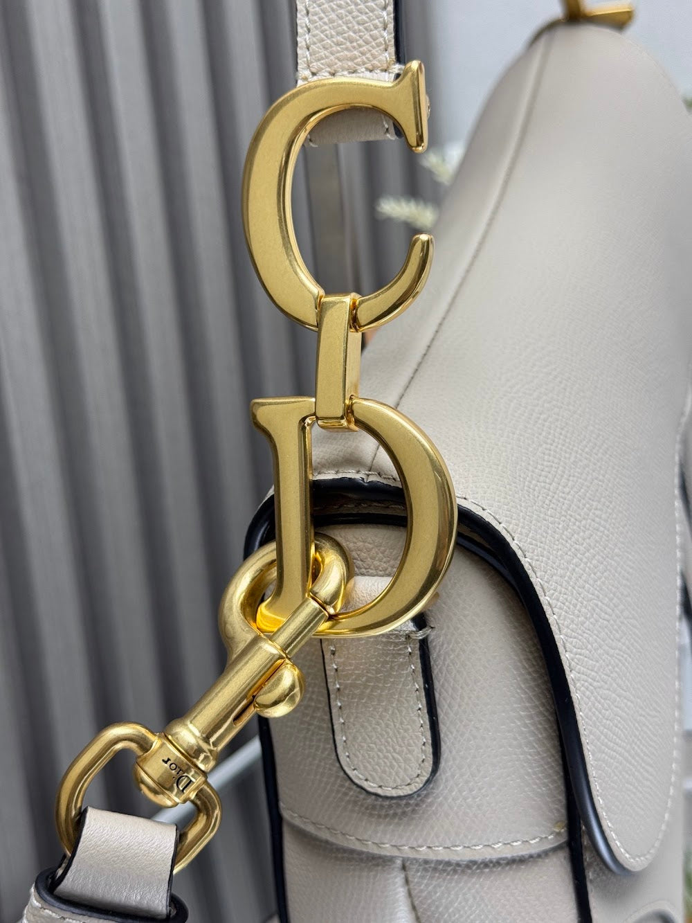 Dragons BagsDiorn Luxury Bag --115260