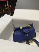 new-designer-premium-bags-nm7287