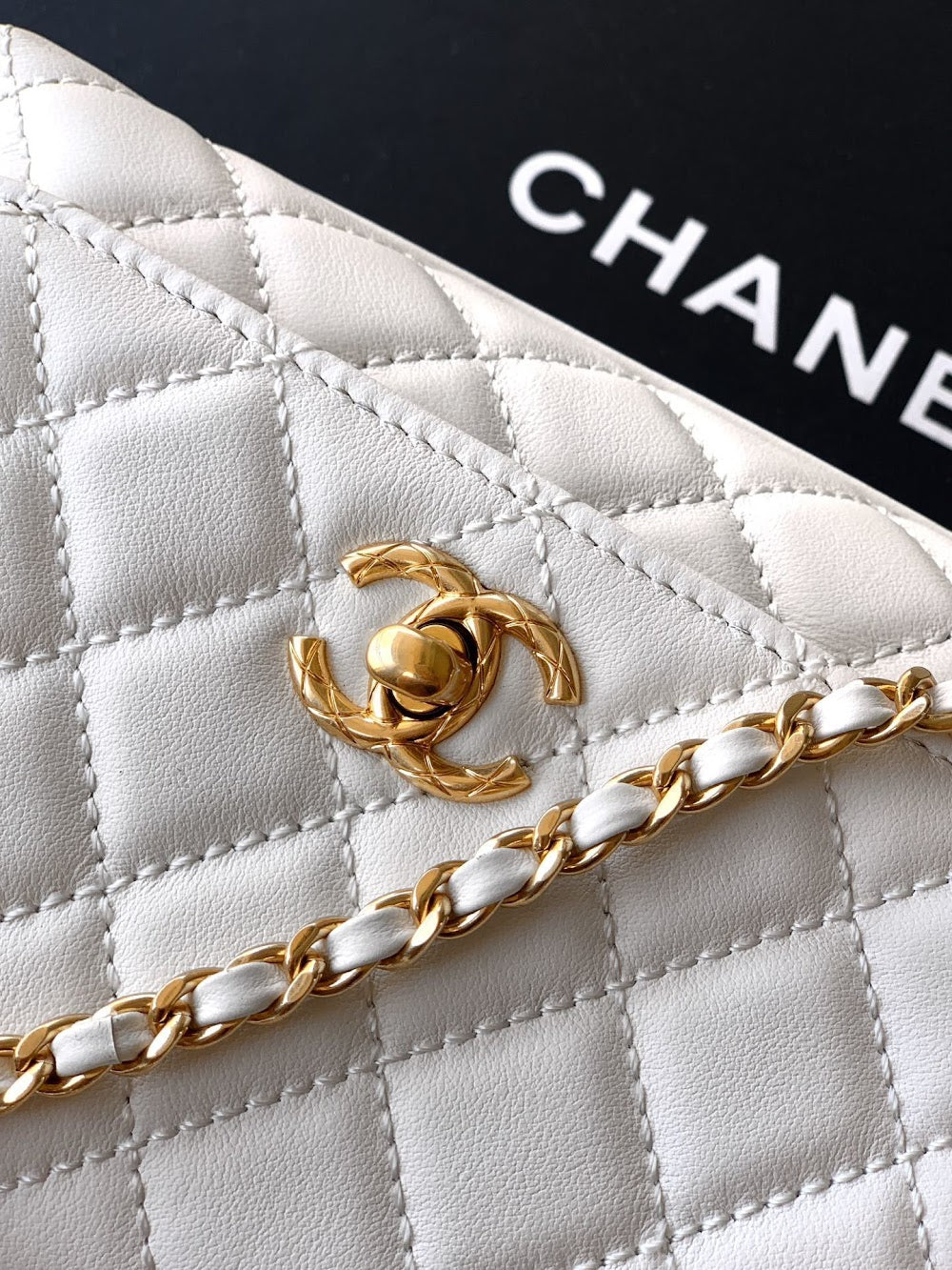Dragons BagsCHn Luxury Bag --113973