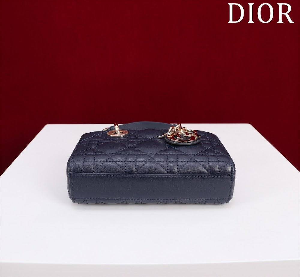Dragons BagsDiorn Luxury Bag --116453