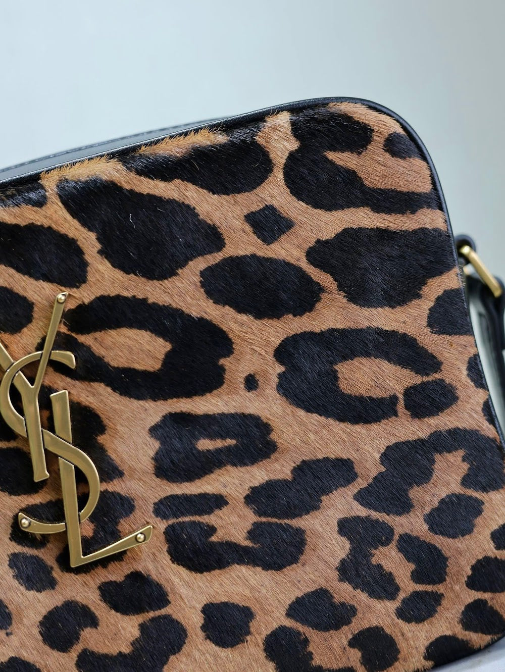 Dragons Bags YSLn Luxury Bag --119651