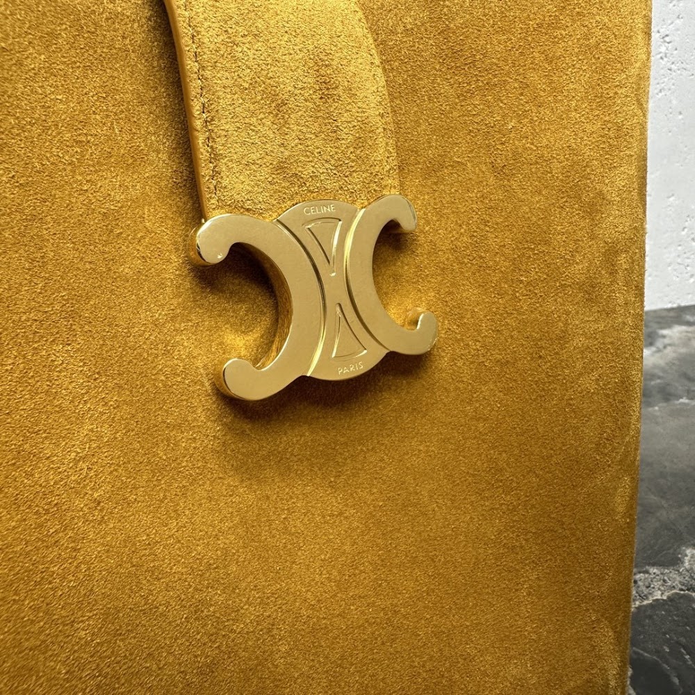 Dragons Bags Celine Luxury Bag --112478