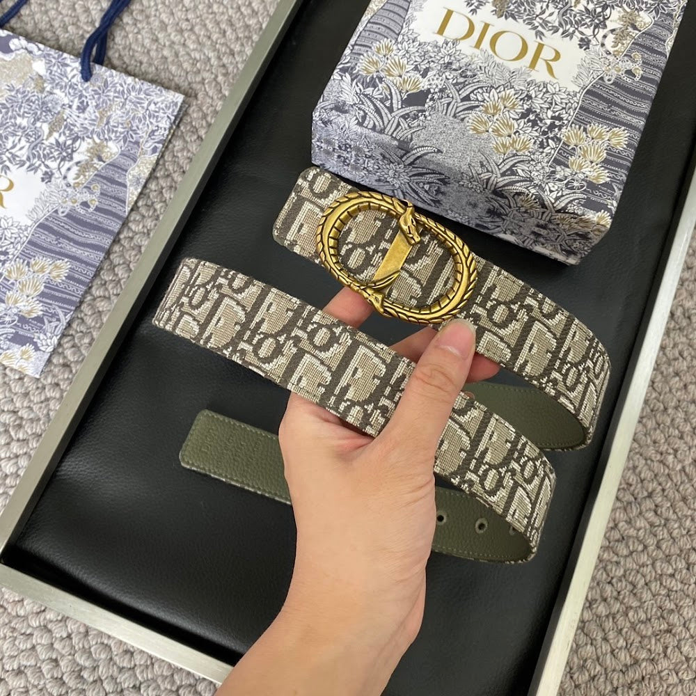 Dragons Bags Diorn Luxury Belt --107742