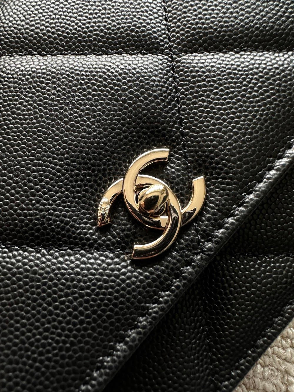 Dragons Bags CHn Luxury Bag --112708