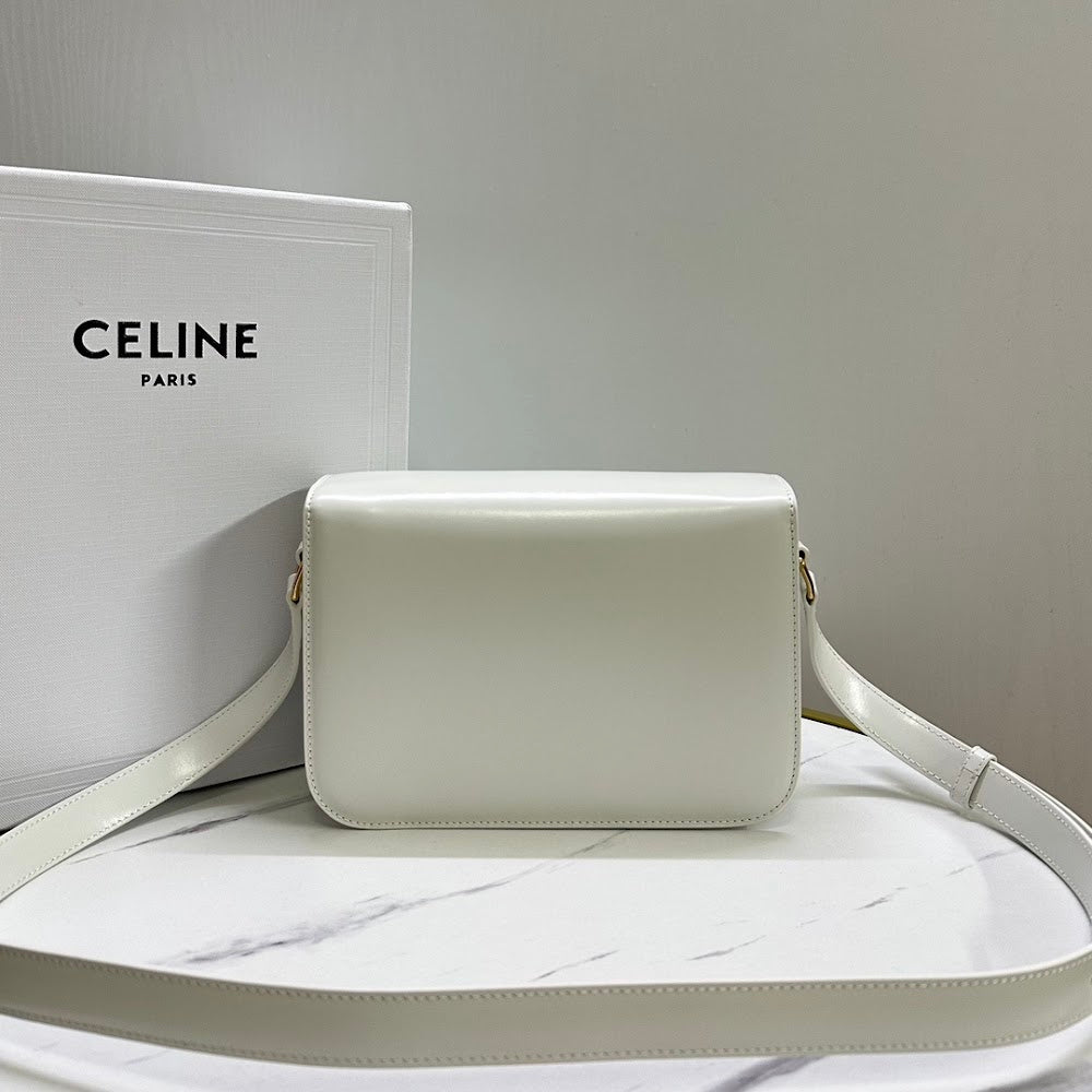 Dragons Bags Celine Luxury Bag --111982