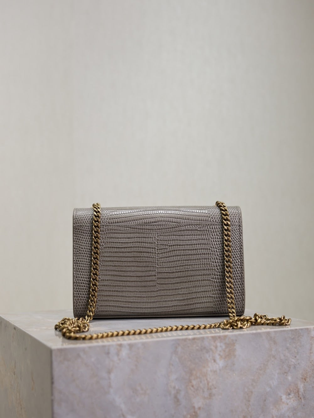Dragons Bags YSLn Luxury Bag --119164