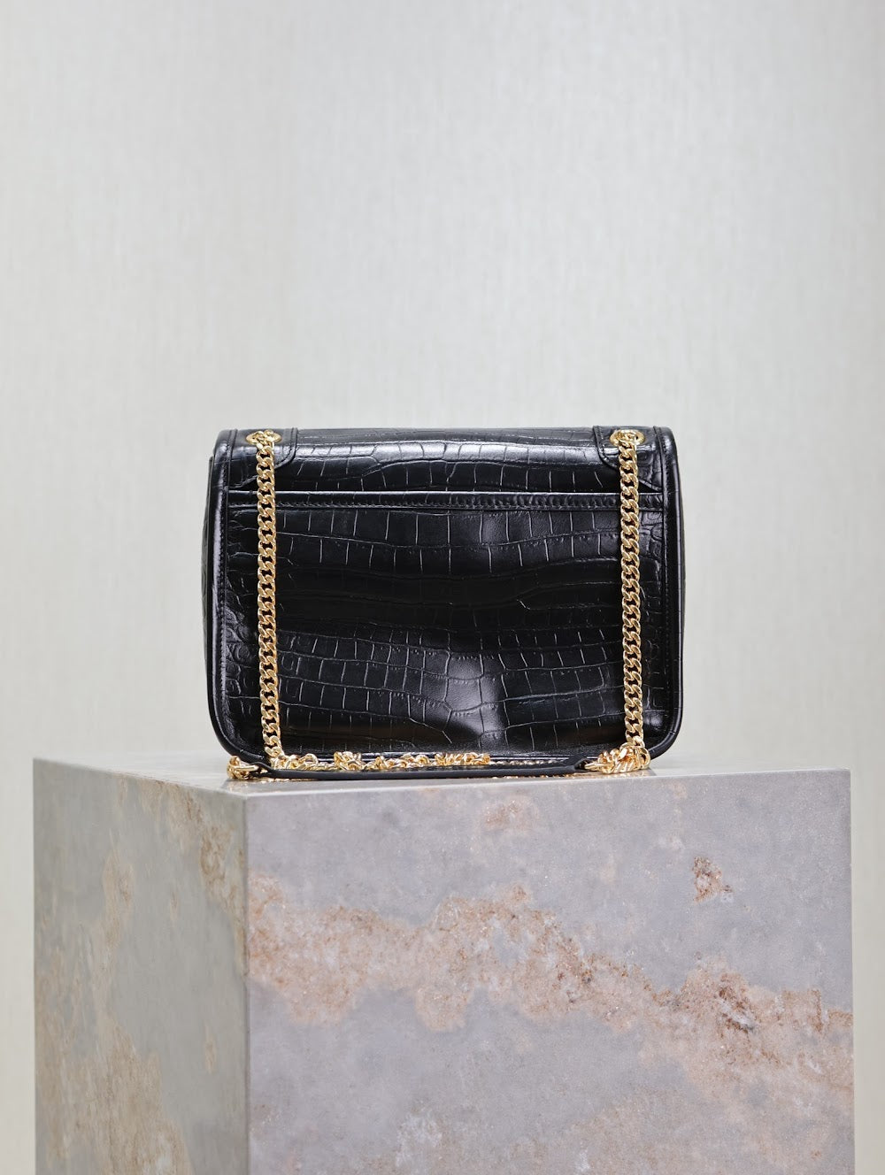 Dragons Bags YSLn Luxury Bag --119327
