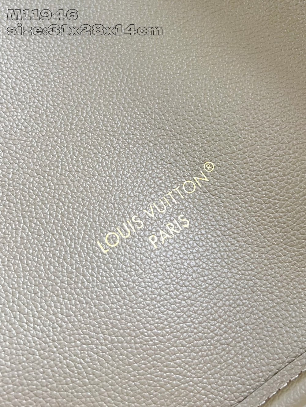 Dragons Bags ln Luxury Bag --96861