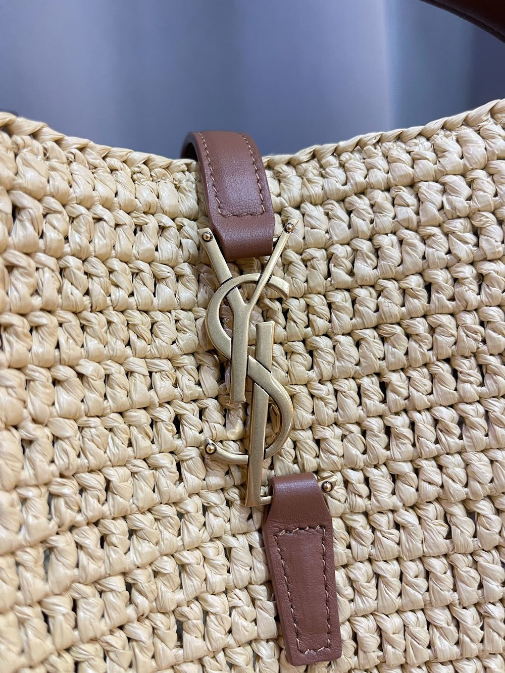 Dragons Bags YSLn Luxury Bag --119110