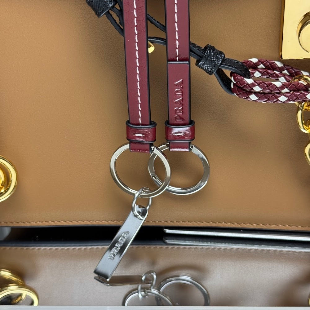 Dragons Bags Pradn Luxury Bag --102021