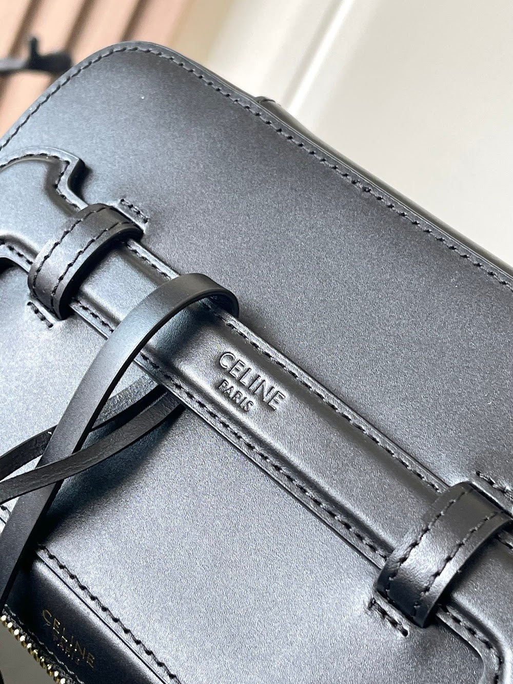 Dragons Bags Celine Luxury Bag --112317
