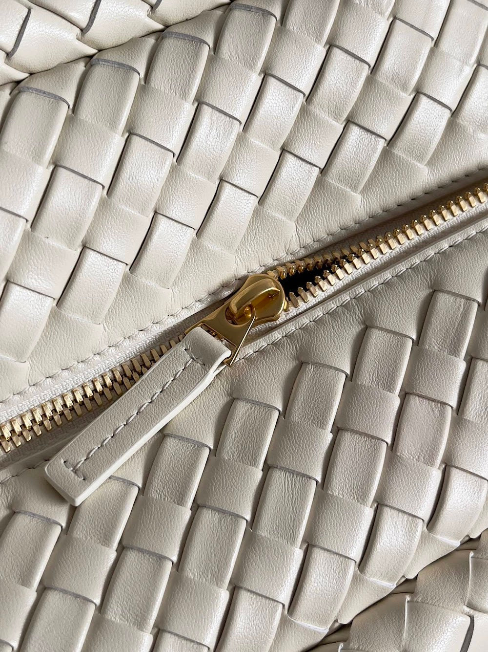 Dragons Bags Bottegan Luxury Bag --91152