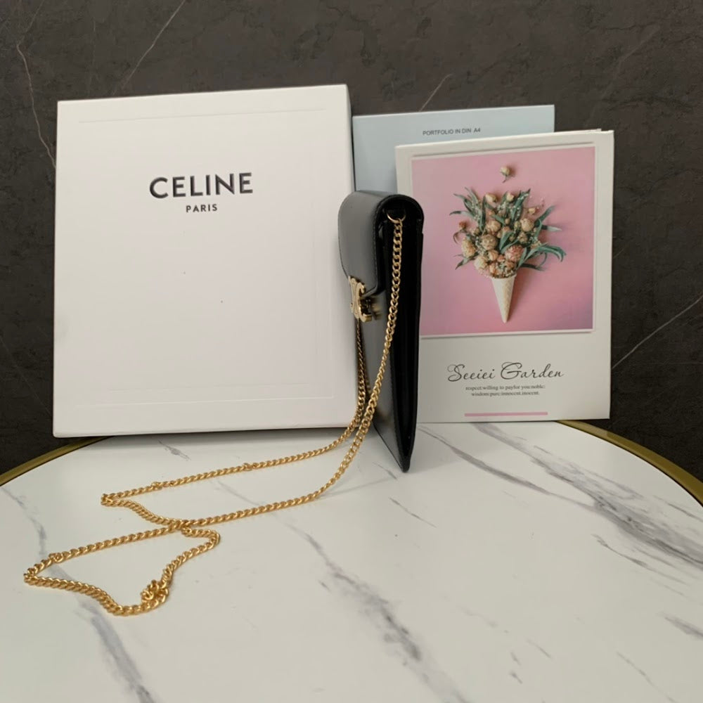 Dragons Bags Celine Luxury Bag --112158