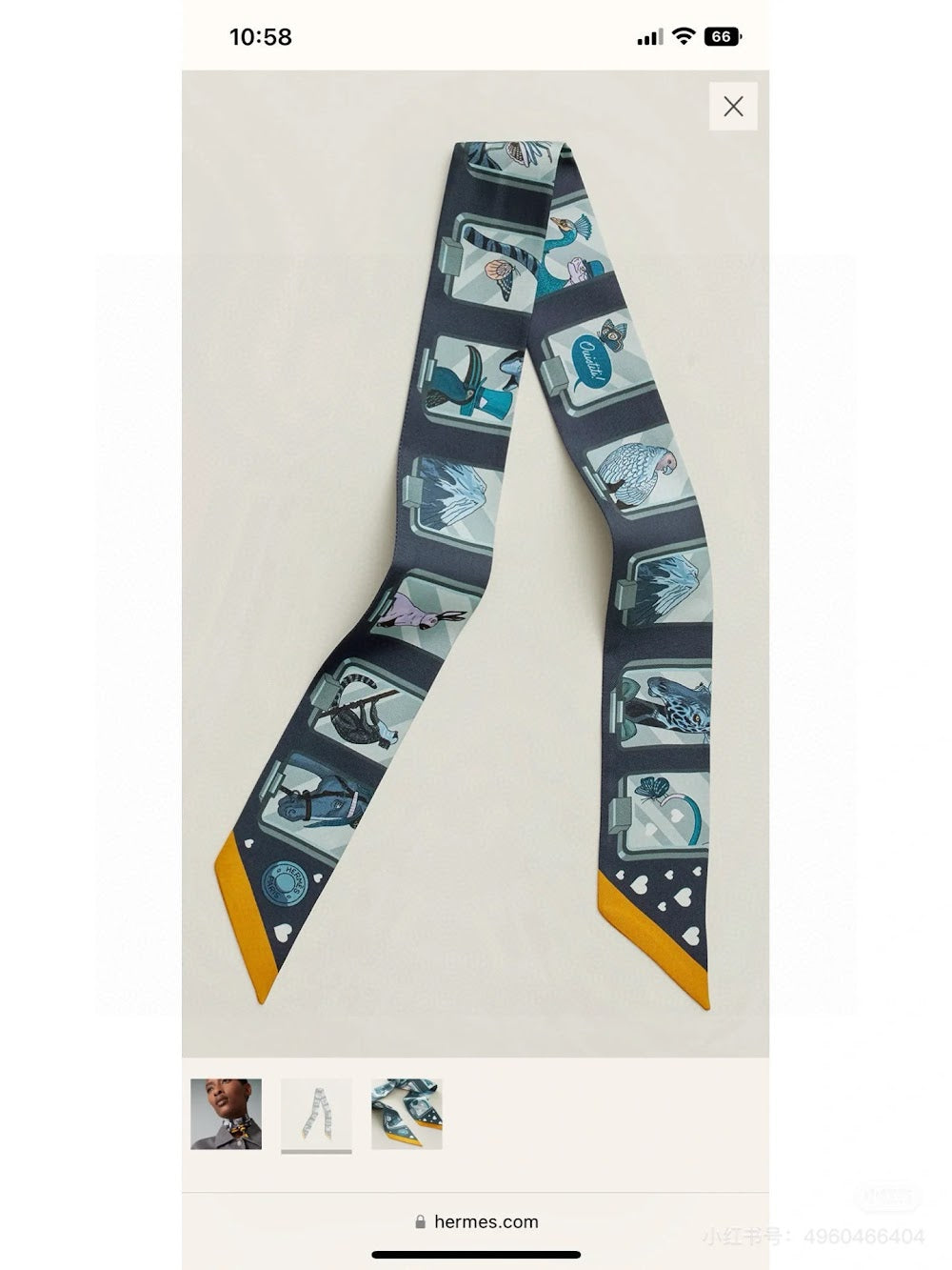 Dragons Bags Premium Designer Scarf --99330