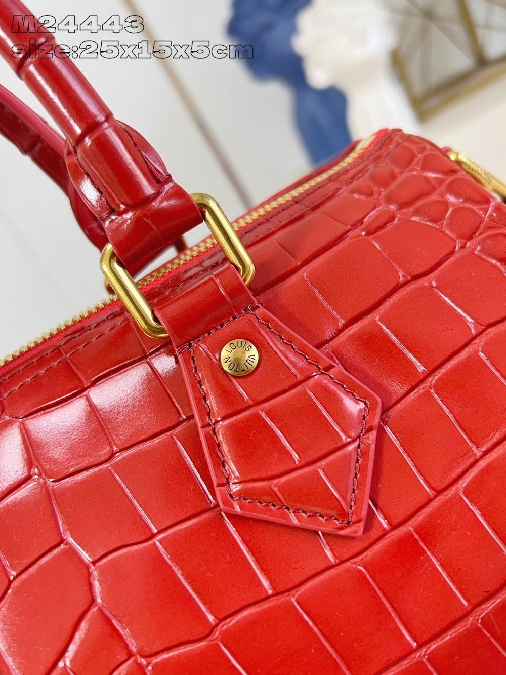 Dragons Bags ln Luxury Bag --96965