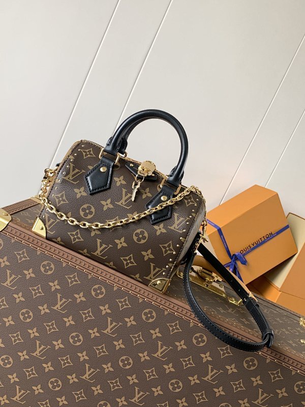 Dragons Bags LVn Luxury Bag --79096