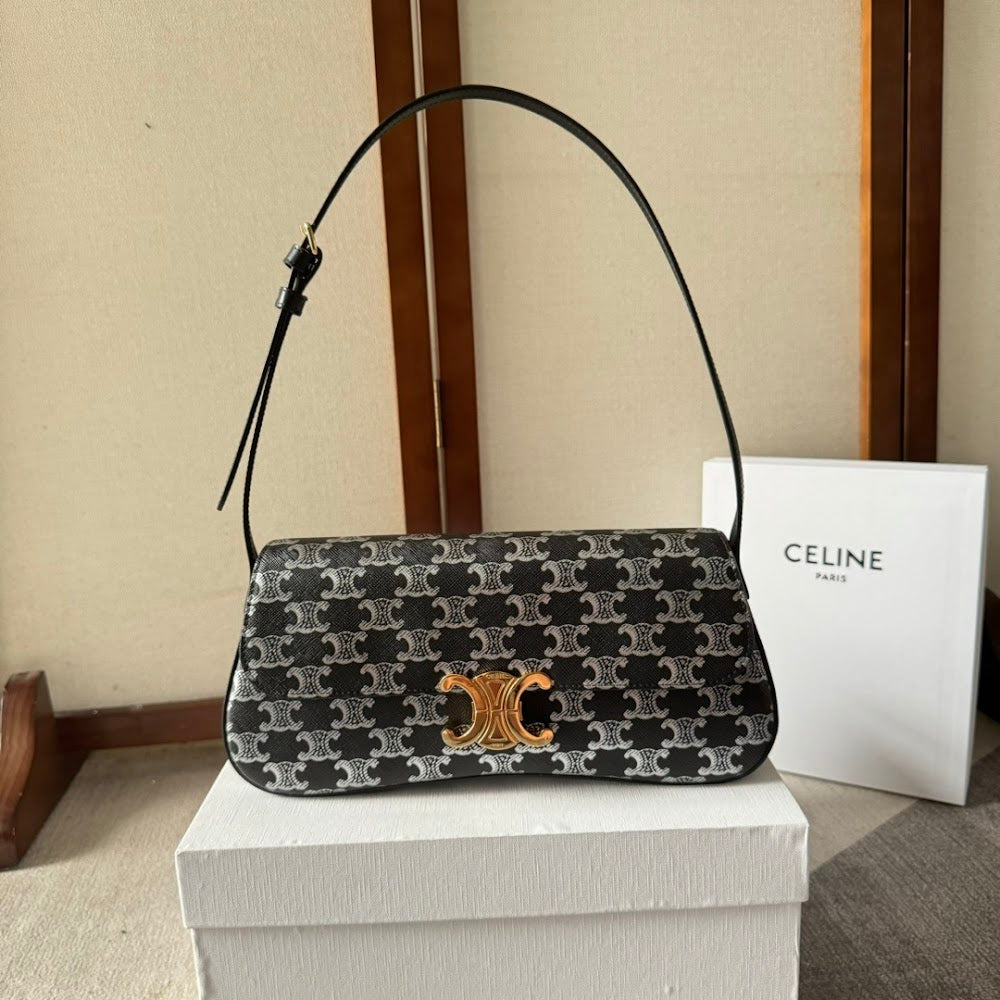 Dragons Bags Celine Luxury Bag --112507