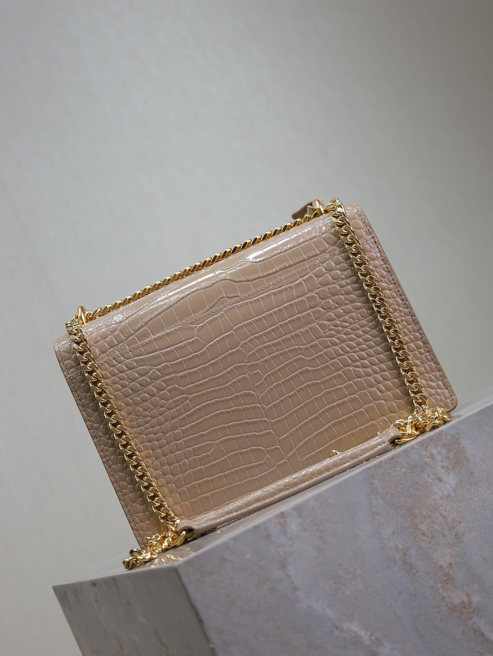 Dragons Bags YSLn Luxury Bag --119534