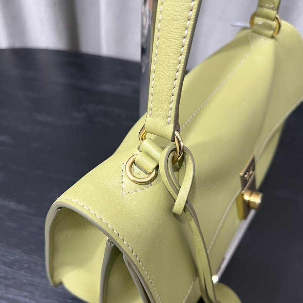 Dragons Bags Pradn Luxury Bag --101810